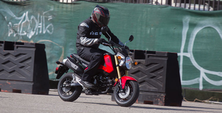 Illustration for article titled The Ten Best Motorcycles For A Beginner